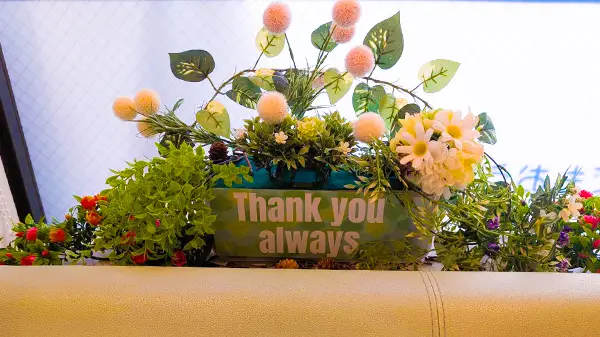 観葉植物と装飾